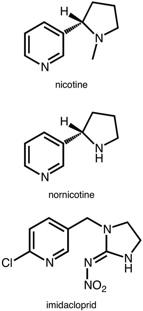 Nicotine as an insecticide in Australia: a short history | Chemistry in  Australia magazine